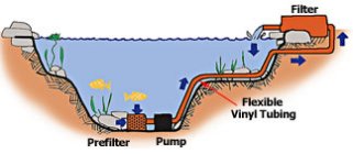 Plantation fish pond,  pool pump repair & replacement