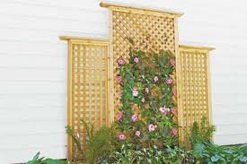trellis custom built